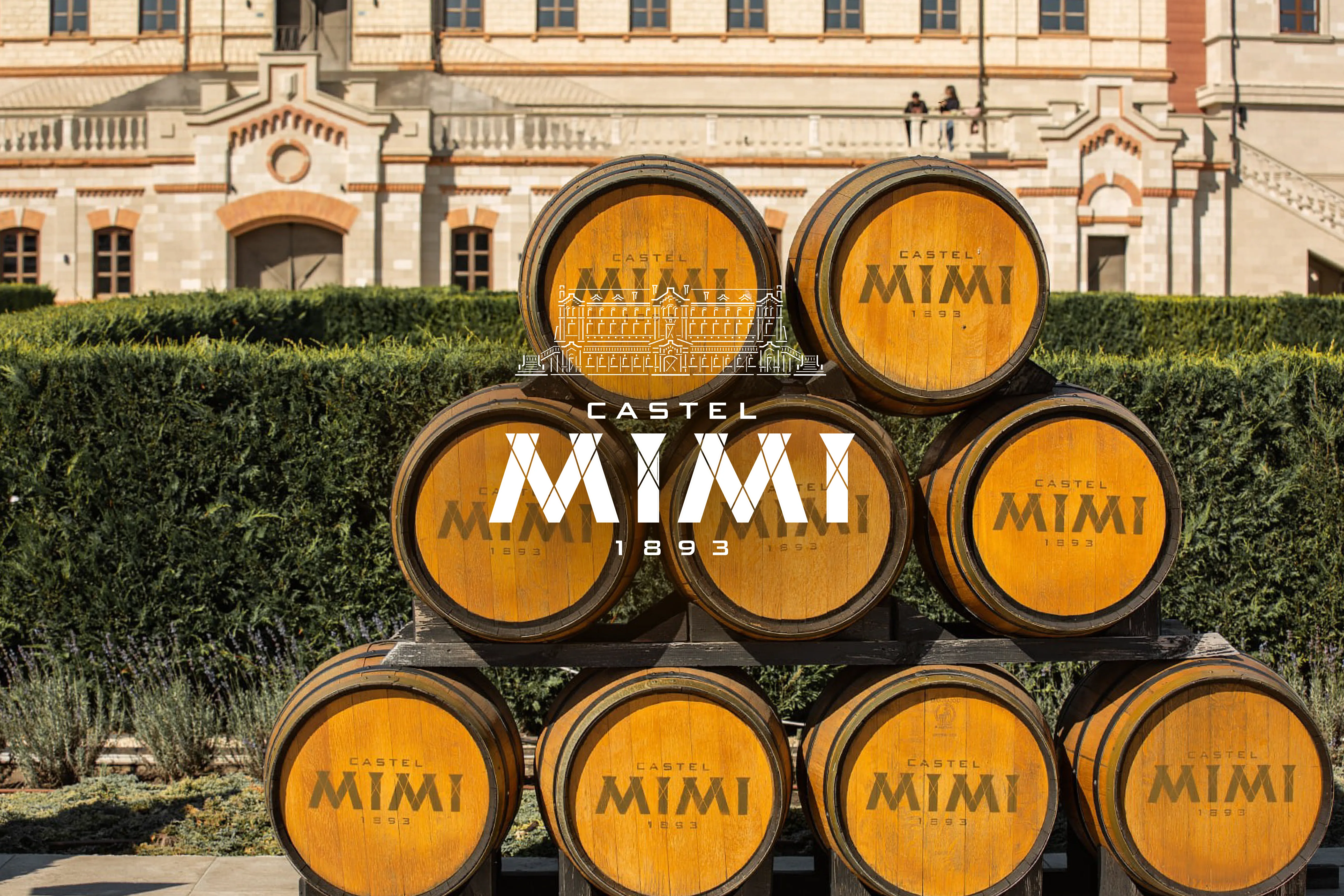 Mimi Winery – Strategie și campanii TV